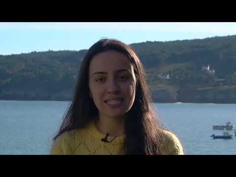 Vídeo: Por que é salgada a auga do mar?