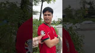 Bạn c&oacute; th&iacute;ch gi&uacute;p đỡ người kh&aacute;c kh&ocirc;ng? #shorts #kindness