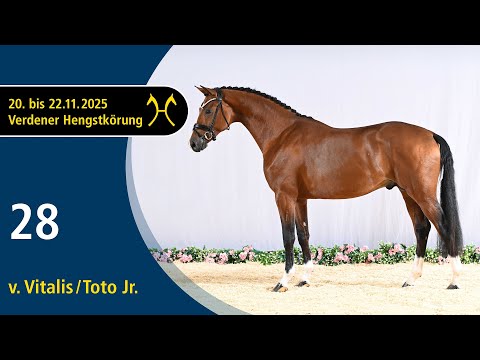 No. 28 Stallion by Vitalis - Toto Jr. | Verden Stallion Licensing 2025 - Dressage - Nov. 21/22