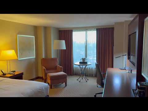 King Room - Hilton Dulles Washington Airport