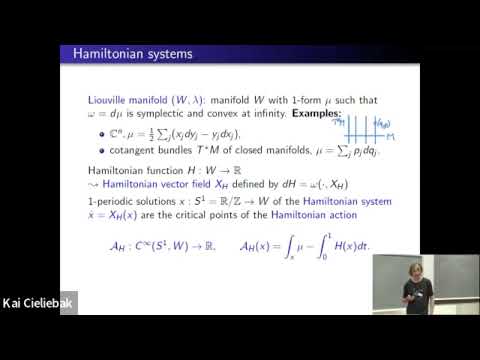 Kai Cieliebak: Lagrange multiplier functionals
