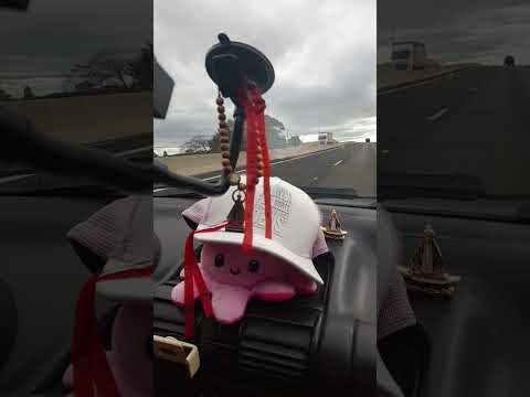 Rodovia Raposo Tavares, Presidente Venceslau-SP
