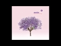 Eels-The Morning