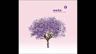 Eels-The Morning