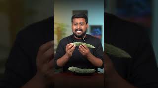 The Benefits of Bitter Gourd | Bitter Gourd Can Maintain your Blood Sugar
