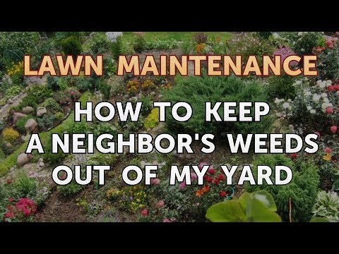 How to Keep a Neighbor's Weeds Out of My Yard