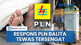 PLN Buka Suara soal Kasus Balita Tewas Mengenaskan usai Tersengat Boks Listrik di Blitar Jatim