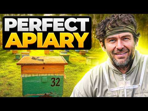 THIS Is The PERFECT Apiary - Top Tips For Choosing The Best Apiary Site