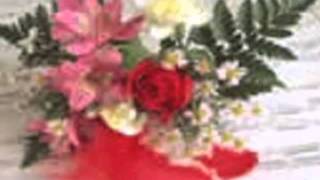 Rackets &amp; Drapes - Valentine