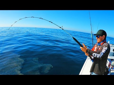 I'll never hear the end of this