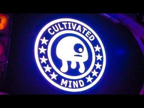 Cultivated Mind (Supercut) live at Seacrets Beach Club 12 July 2023