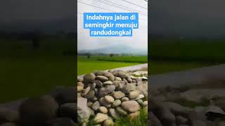 Download lagu pemandangan jalan di semingkir menuju randudongkal pemalang jawa tengah mp3