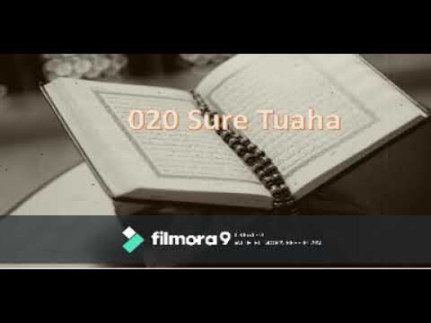 020 Sure Tuaha