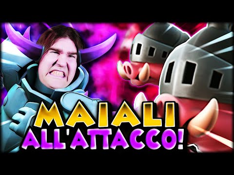 I MAIALI ROYALE SONO FORTISSIMI! DECK PREPARAZIONE LIVELLO 14 CLASH ROYALE!