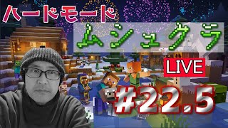 【マインクラフト】耐久・・・？ウィザーに泣かされてちょっと困ってる・・・　ＰＡＲＴ22.5