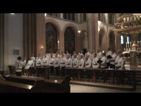 Vo tsarstvii tvoem - Ural Cossacks choir - Live in Vienna