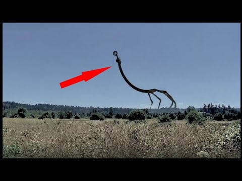 топ 30 сиреноголовый сняты на камеру 3 часть