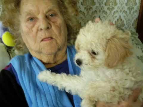 To My Mammy -Carl Zoeller and his Melodists 1930