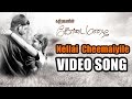 Kodai Mazhai Nellai Cheemaiyile Video Song Trend Music