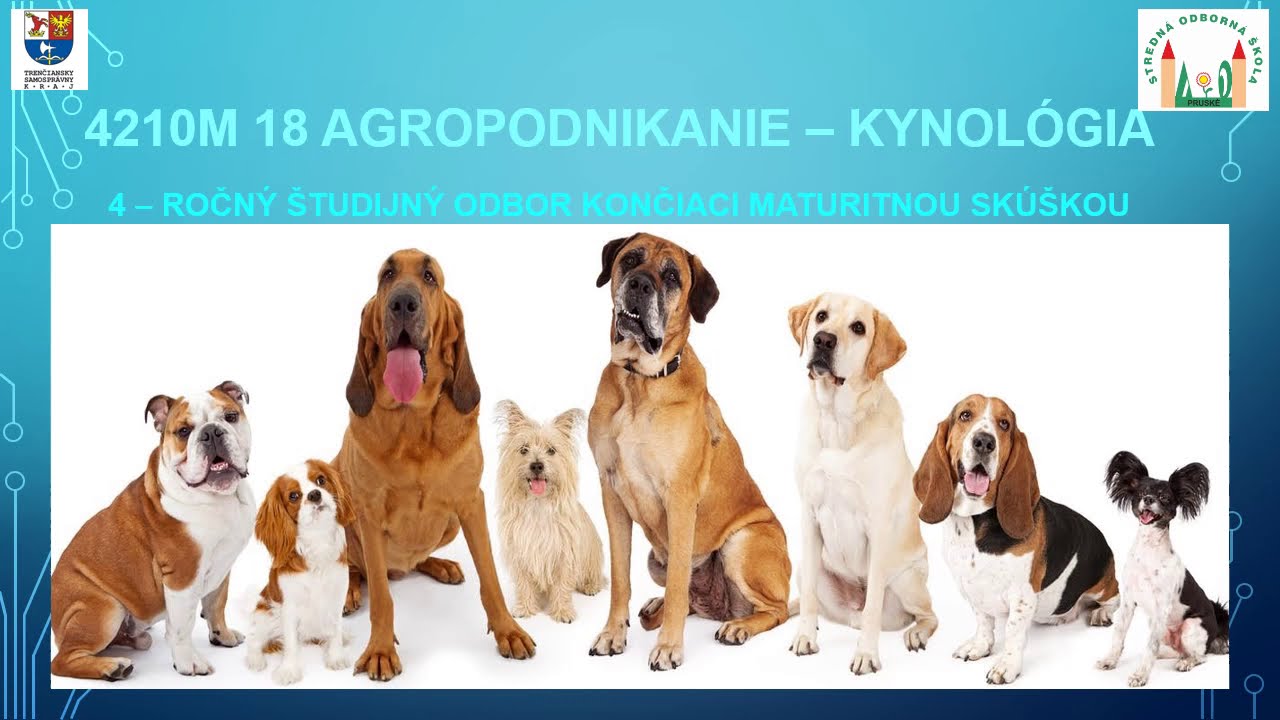 Agropodnikanie - kynológia
