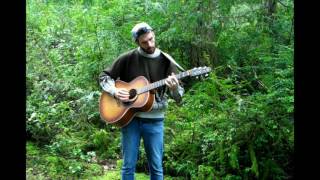 Coyote - The Lonely Forest