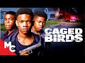 They Killed Their High School Bully | Full Crime Thriller Movie | Free Movie | Caged Birds