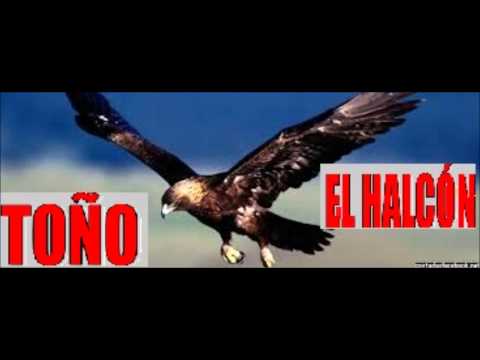 TOÑO EL HALCON-Por un amor