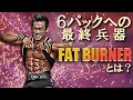 【最強の脂肪燃焼サプリ】ダイエット中のボディビルダーも頼るファットバーナー特集【Dr.ビックヒデのサプリメント教室】