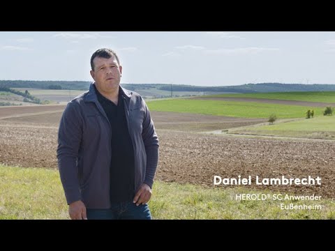 Praktische Erfahrungen mit Herold SC von Daniel Lambrecht