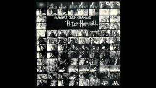 Peter Hammill - The Institute Of Mental Health, Burning