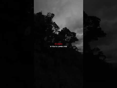 Denisa feat. Mr Juve - Te iubesc (lyrics-versuri)