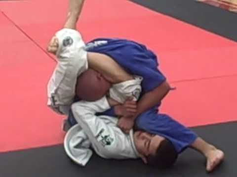 American Cup BJJ Blue Belt Juvenile 1st Place Champ JGuerrero