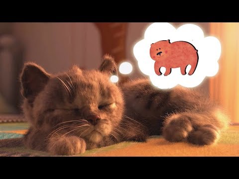 Play Fun Pet Animal Care - Little Kitten Preschool - Kids Learn Colors, Animals Fun Educational Game