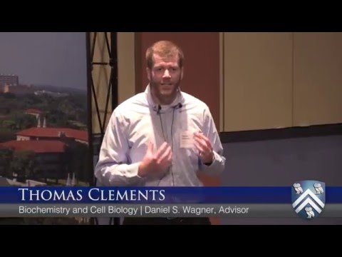 Thomas Clements - Rice University 90 Second Thesis Competition