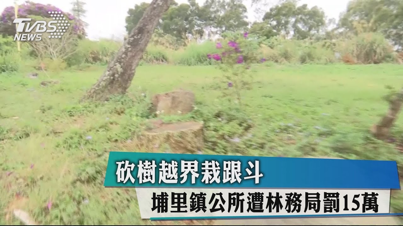 砍樹越界栽跟斗 埔里鎮公所遭林務局罰15萬