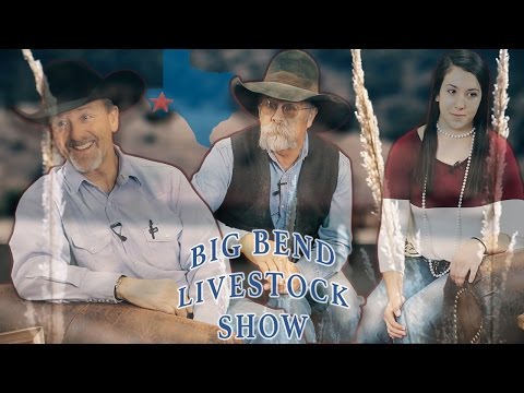 The Mostyn Starfish of Fort Davis