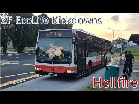 [SMRT]Hellfire ZF Kickdowns - SMB142J On 178 - MB O530 CITARO