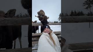 Une journée typiquement Québécoise😂 #shorts #orignal #cocotte #drole #quebec