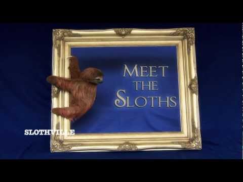 Baby sloth gets homemade onesie treatment