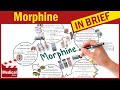 Morphine Maracex Oramorph Sendolor What Is Morphine Used For Uses Dosage Side Effects