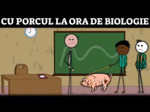 LA ȘCOALĂ: Cu Porcul La Ora De Biologie
