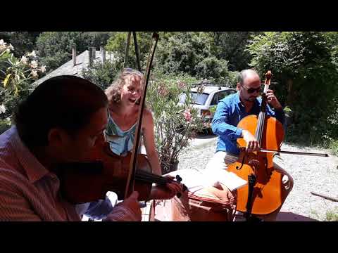 Ég az erdő - Nyári előkészületek