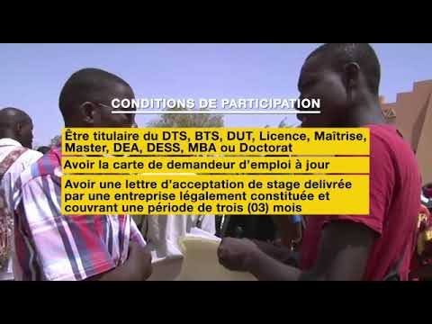 Dans le cadre du PAEJ, l'ANPE lance les inscriptions au programme de stage, édition 2022