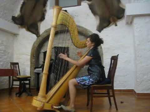 Promotional video thumbnail 2 for Professional Harpist, Ana Marija Weinhardt