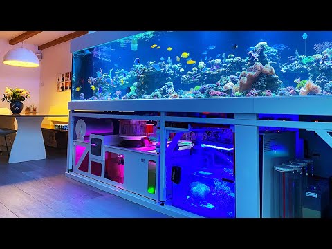 GERMAN REEF TANKS - "extended home for aquarium" - 3000 liter setup *highend*