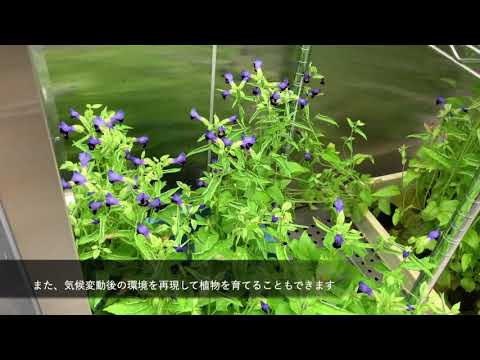 【福井県立大学】生物資源学科　研究施設・設備の紹介