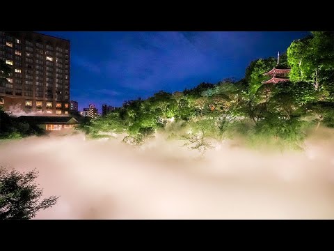 Пребывание в японском отеле в Токио, окруженном облачным морем | Отель Чинзансо Токио