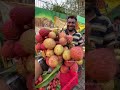 Lichi Fruit Seasonal Fruit New Fruit Special Fruit Lichi Juice