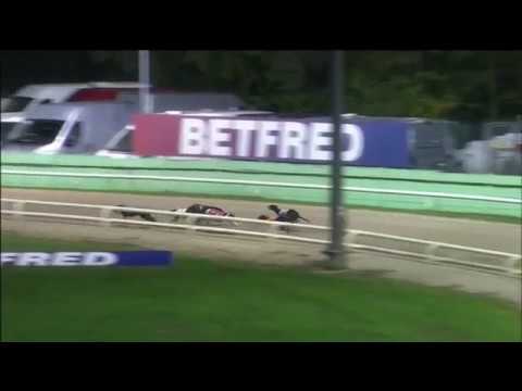 2018 MSCN ECLIPSE STAKES - HEAT 2 - T2 FUNK FACTOR