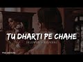 Tu Dharti Pe Chahe Slowed Reverb Pro Sreverb Oldsong 90s Viral Lofi Trending